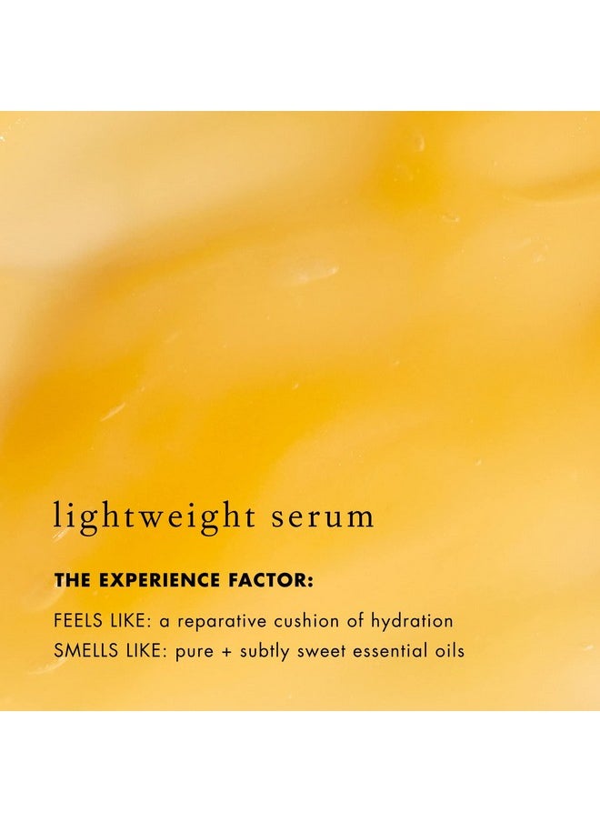Bioelements - Lip Clinic Hydrating Serum 0.33 Fl Oz Moisturize & Hydrate With Shea Butter & Squalane Vegan Gluten Free Never Tested On Animals - Image 1