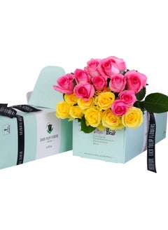 Victoria - Green Box