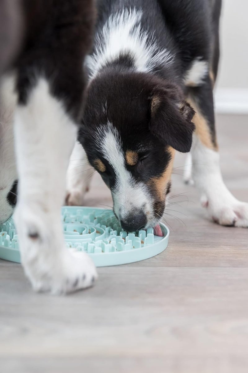 TRIXIE Junior Licking Mat 8 in Pet Slow Feeder For Dogs and Cats - Image 2