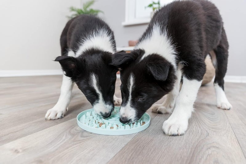TRIXIE Junior Licking Mat 8 in Pet Slow Feeder For Dogs and Cats - Image 3