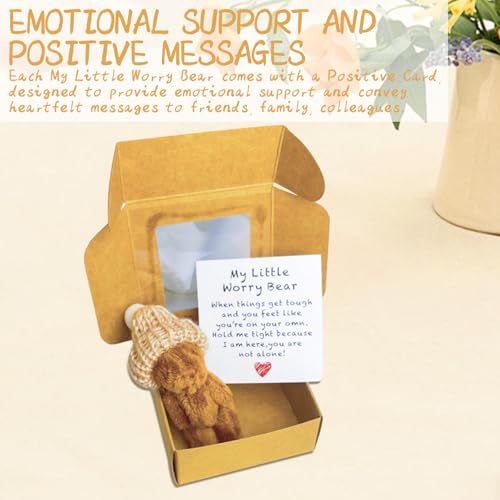 Roioiow 2Pack My Little Worry Bear Plush Teddy with Greeting Card and Box Emotional Support Relationship Gift for Friends Family Colleagues - Image 5