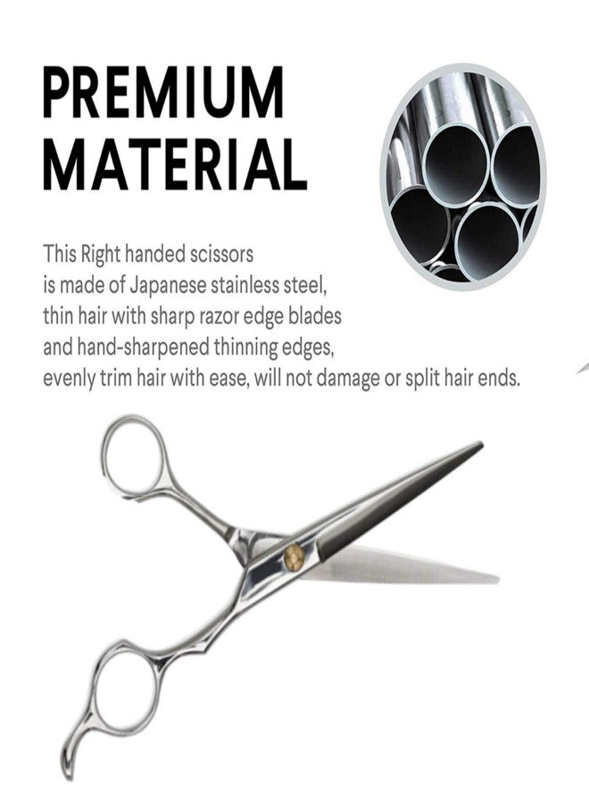 Doberyl Beard Grooming & Trimming Kit for Men Care - Beard Shaping Comb, Mustache & Beard Trimming Scissors, Neck Duster Brush, Barber Hair Cutting Scissors for Styling & Shaping Gift set (5 pcs) - Image 3