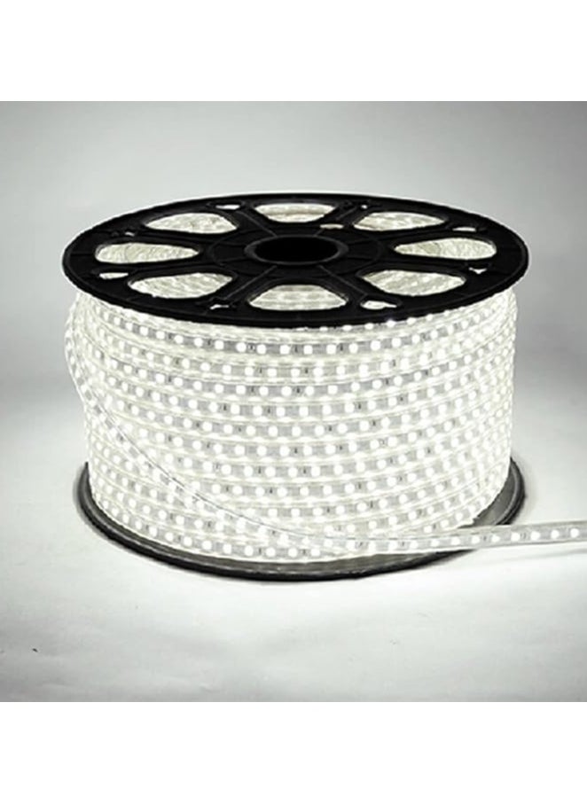 Generic LED strip, 80 white lights, 1 number, hose length 80 meters + 4 plugs  - Image 1