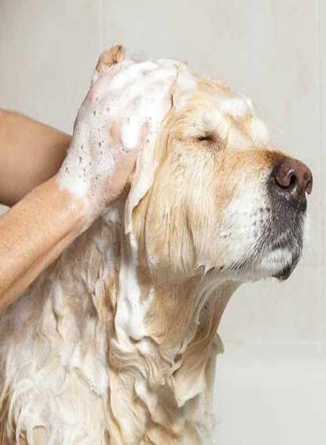 Hachiko 5 in 1 Dog Shampoo|Ditch to Itch 250ml | Dog Shampoo for Labrador, German Shepherd, Golden Retriever, Anti Dandruff,Shampoo for Dogs, Paraben Free,Ticks and Fleas Remover for Dogs - Image 3