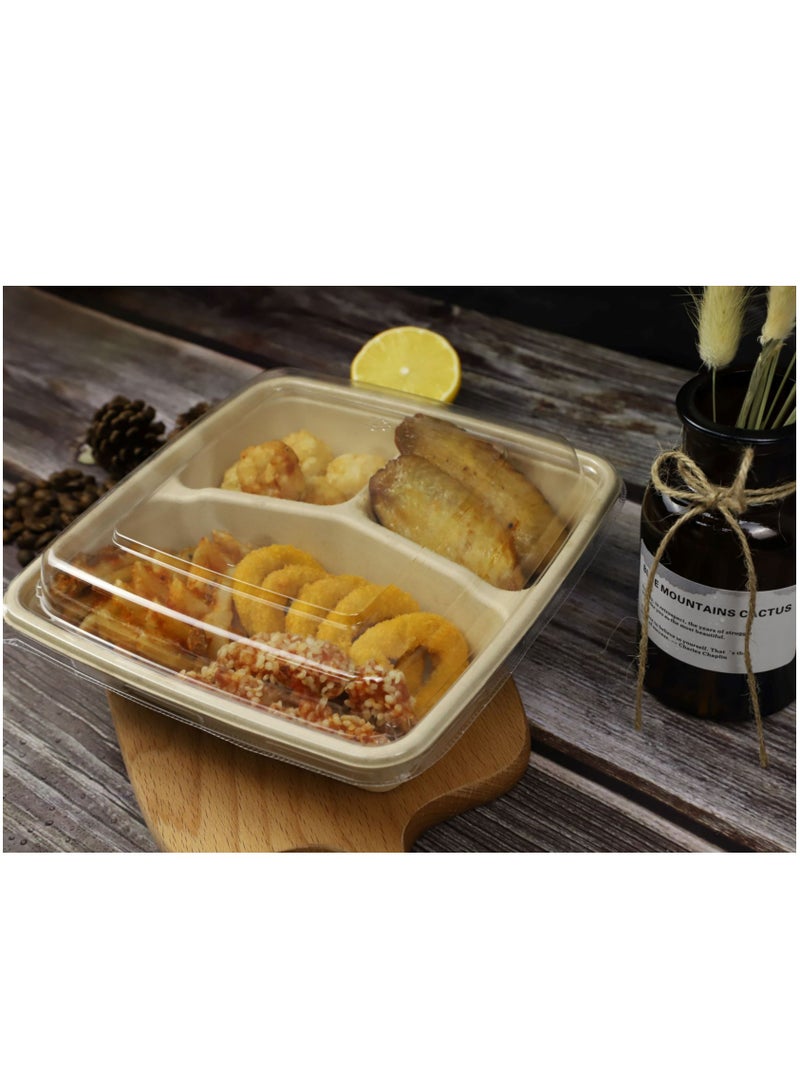 ProdelPak Eco-Pulp Square 3-Comp with Lid (Pack of 25) - Image 1