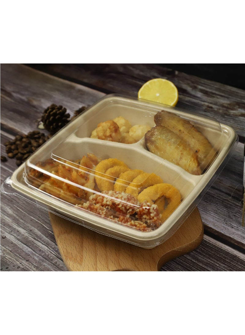 ProdelPak Eco-Pulp Square 3-Comp with Lid (Pack of 25) - Image 3
