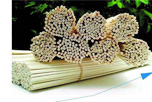 Pure Source India Reed Sticks for Diffuser 7.5 Inch, 100 pcs, Natural White - Image 3
