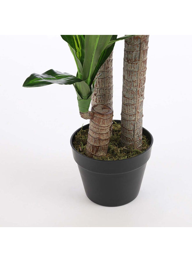 ساحل الشمس Artificial Dracaena in Pot-Green  - Image 2