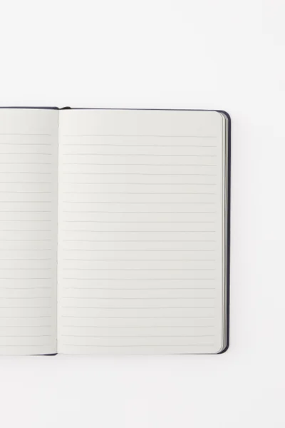 تايبو A5 Buffalo Journal