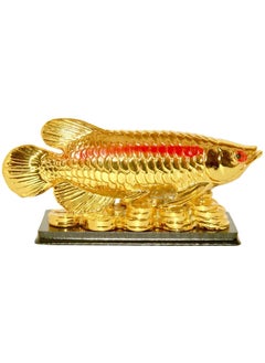RIPE INDIA RIPE INDIA L Feng Shui Arowana Fish Showpiece for Good Luck and Prosperity 