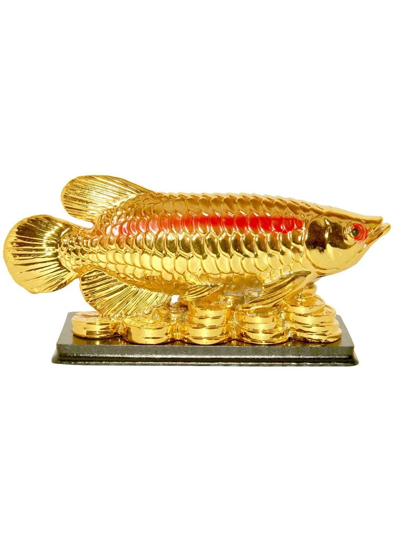 RIPE INDIA RIPE INDIA L Feng Shui Arowana Fish Showpiece for Good Luck and Prosperity 