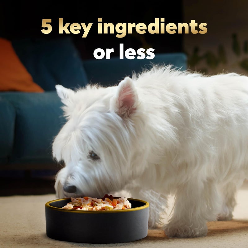 Cesar Simply Crafted Wet Dog Food Toppers for Dry Food, Chicken and Beef Meal Topper Variety Pack, 1.3 oz. Tubs, Variety Pack, 40 Count - Image 3