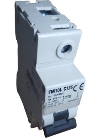 FEDERAL 125A C/10KA Automatic Fuse 