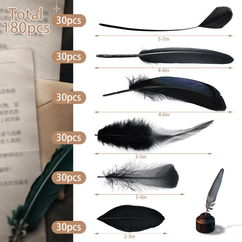 Daieeparty Black Craft Feathers Bulk - 180pcs 6 Style Mixed Natural Feathers for Wedding,DIY Crafts (Black) - Image 2