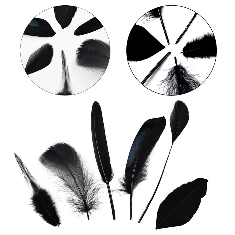 Daieeparty Black Craft Feathers Bulk - 180pcs 6 Style Mixed Natural Feathers for Wedding,DIY Crafts (Black) - Image 3