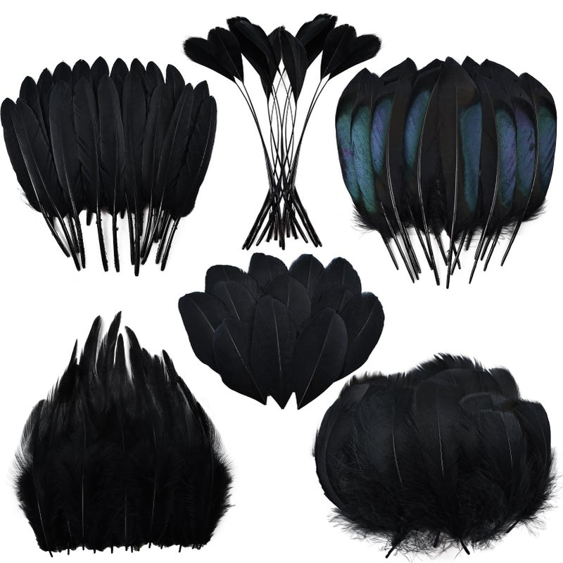 Daieeparty Black Craft Feathers Bulk - 180pcs 6 Style Mixed Natural Feathers for Wedding,DIY Crafts (Black) - Image 1