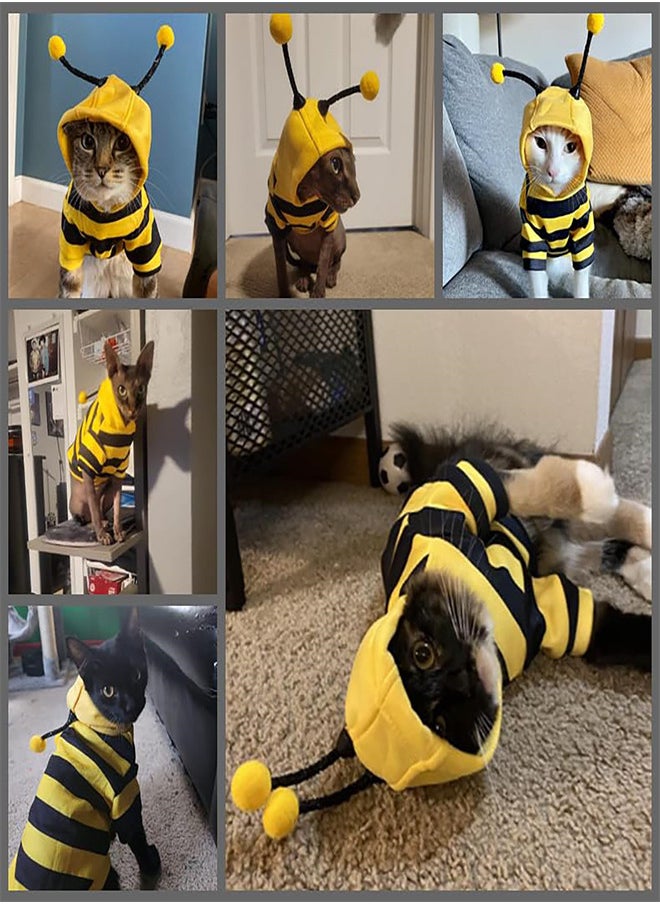 KASTWAVE - Dog Hoodie Bee Costume Pet Outfit Bumblebee Cat Clothes Funny Dog Hooded for Small Medium Dogs Puppy Chihuahua Yorkie Party Cosplay, Black and Yellow (Large) - Image 1