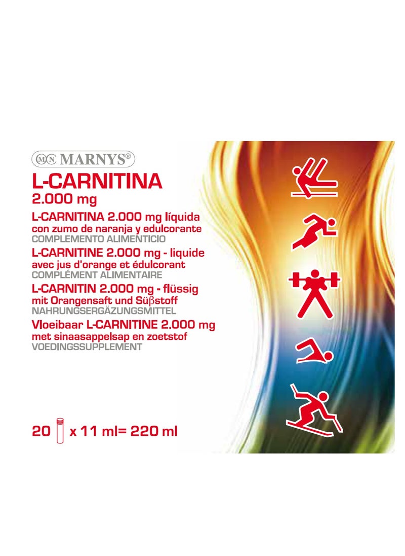 MARNYS - Marnys L-Carnitine 2000 - 20 vials - Image 1