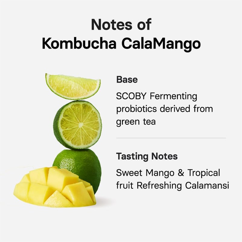 OSULLOC Kombucha Tea Calamango (Calamansi & Mango Blending), Sparkling Powdered Mix Beverage, No added sugar, 10 Sticks, 1.76oz - Image 4