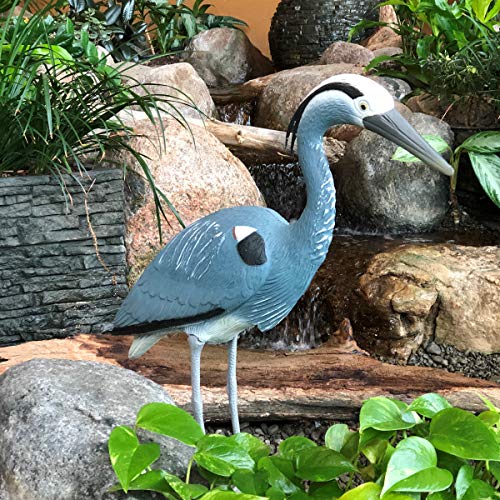 Aquascape Blue Heron Decoy, Tall Garden Pond Bird Deterrent with Mounting Stake, 81030 - Image 2