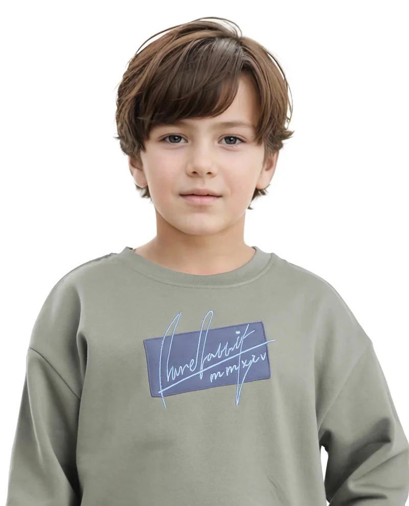 رير ونز Rare Ones Kids Niret Dusky Green Cotton Poly Full Sleeve Embroidered Sweatshirt