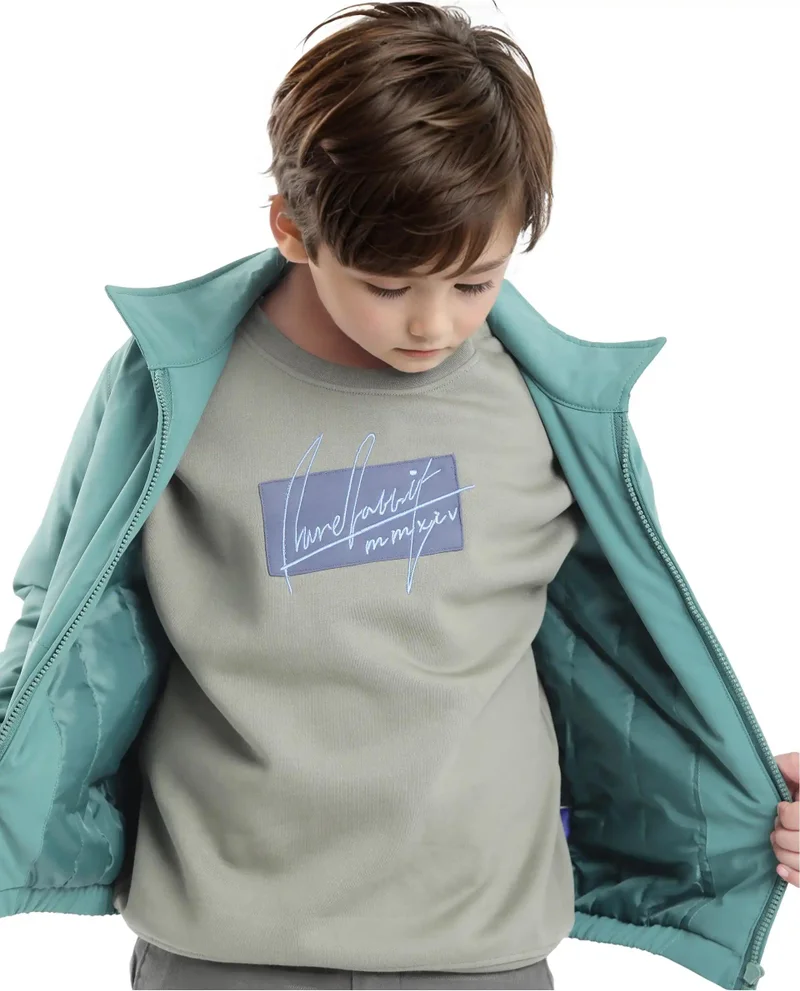 رير ونز Rare Ones Kids Niret Dusky Green Cotton Poly Full Sleeve Embroidered Sweatshirt
