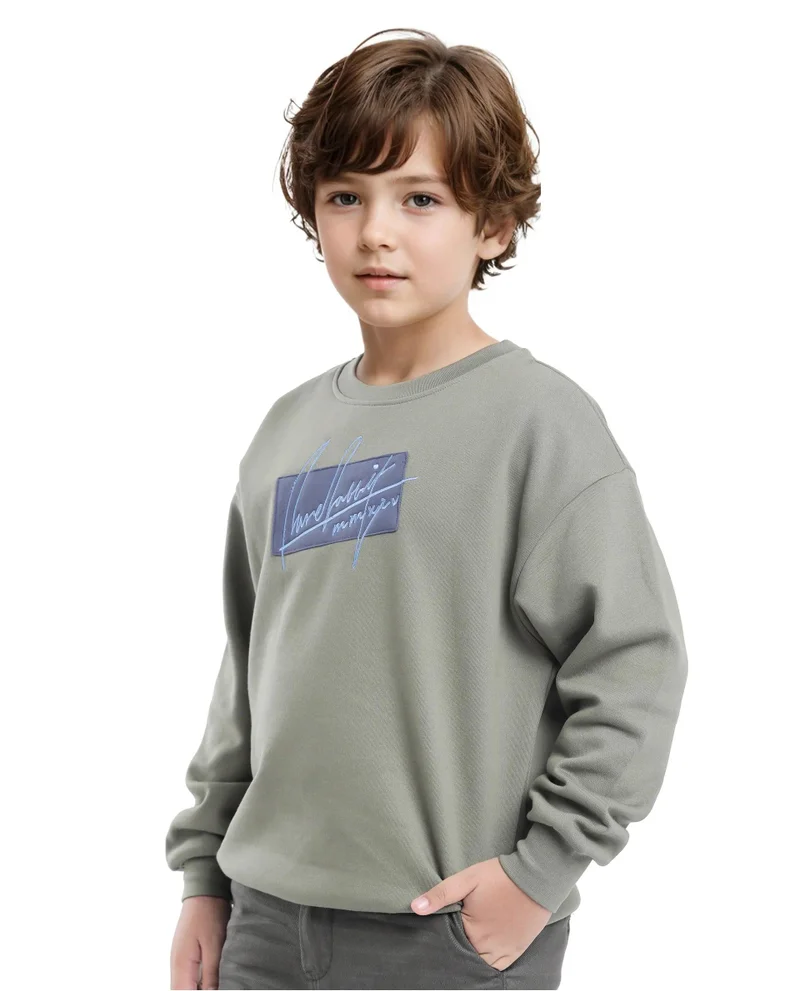 Rare Ones Rare Ones Kids Niret Dusky Green Cotton Poly Full Sleeve Embroidered Sweatshirt