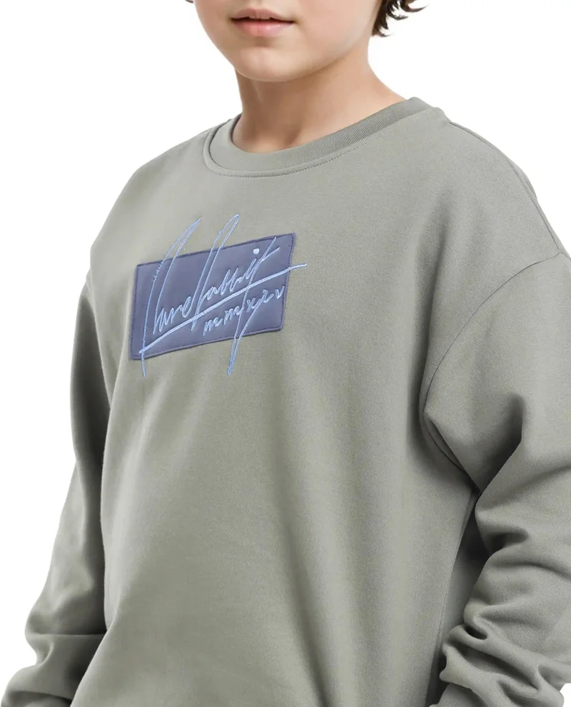 Rare Ones Rare Ones Kids Niret Dusky Green Cotton Poly Full Sleeve Embroidered Sweatshirt
