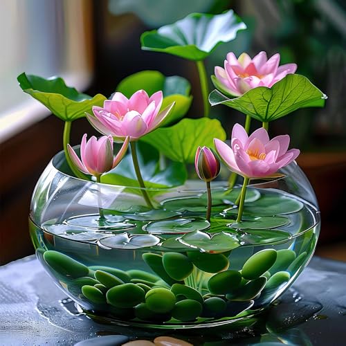 Ficoszo 60pcs Mix Bonsai Lotus Seeds for Planting in Water Bowl Lotus Seed Water Lilys Flower Plant for Ponds and Gardens - Image 4