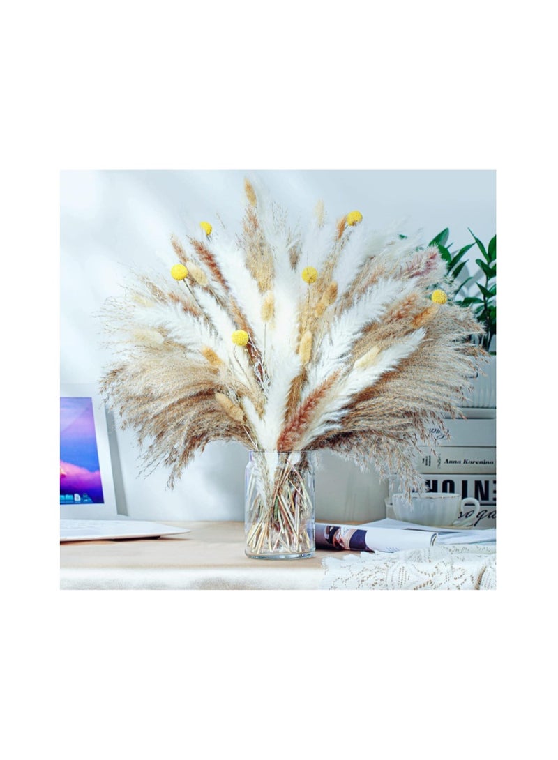 Purfex 100 Pcs Dried Pampas Grass Bouquet, Bunny Tails & Pampas Grass, Brown & White, Boho Home Decor, Vase filler + Wedding & Party Decorations - Image 2
