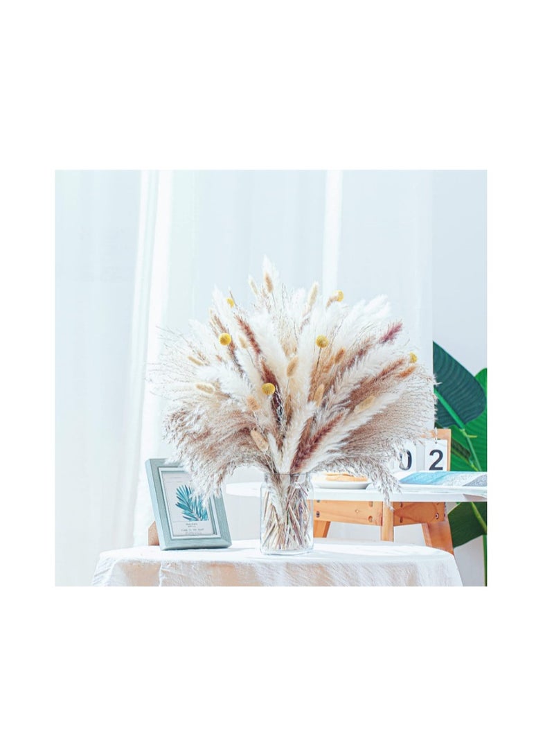 Purfex 100 Pcs Dried Pampas Grass Bouquet, Bunny Tails & Pampas Grass, Brown & White, Boho Home Decor, Vase filler + Wedding & Party Decorations - Image 4