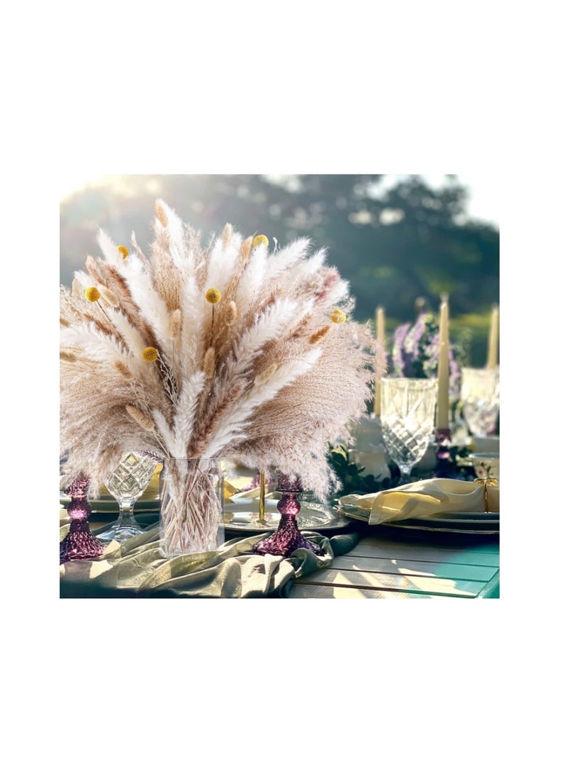 Purfex 100 Pcs Dried Pampas Grass Bouquet, Bunny Tails & Pampas Grass, Brown & White, Boho Home Decor, Vase filler + Wedding & Party Decorations - Image 5