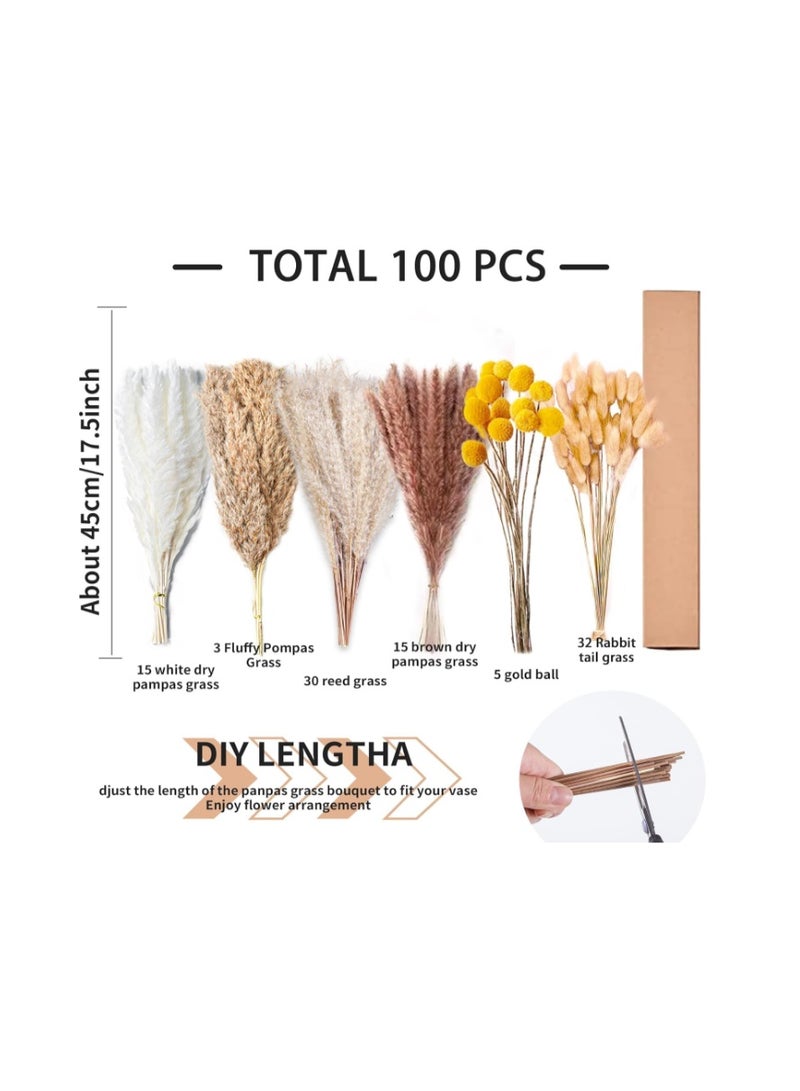 Purfex 100 Pcs Dried Pampas Grass Bouquet, Bunny Tails & Pampas Grass, Brown & White, Boho Home Decor, Vase filler + Wedding & Party Decorations - Image 3