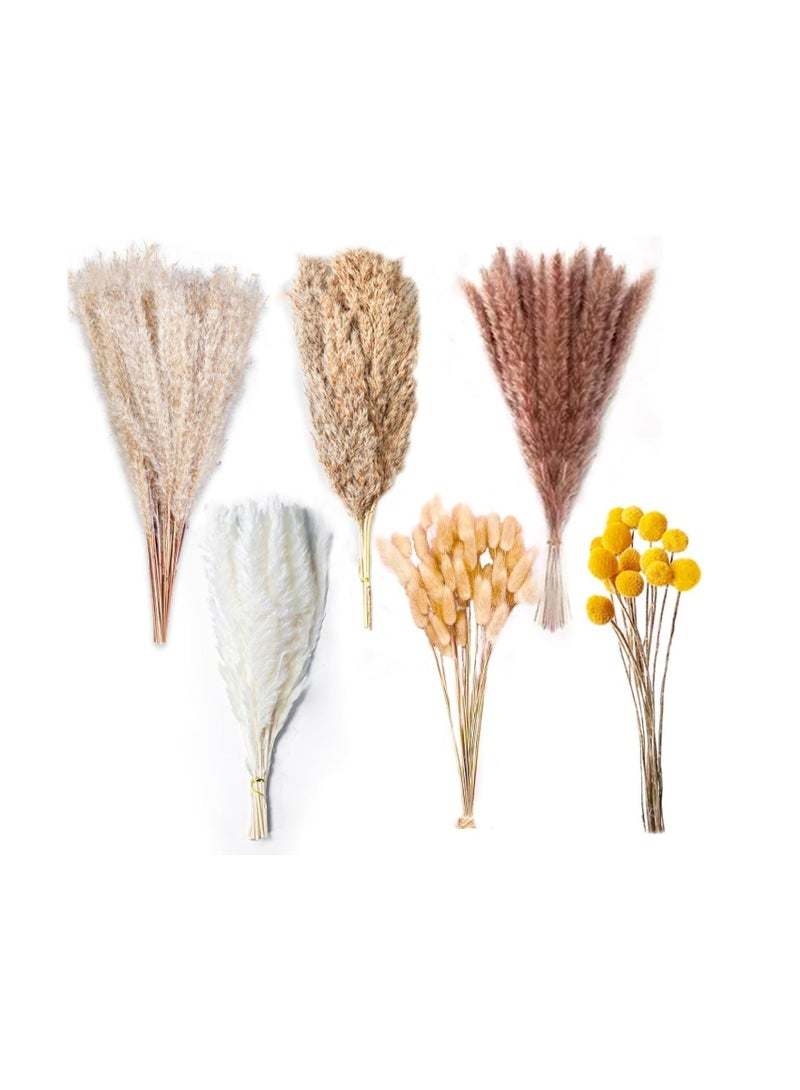 Purfex 100 Pcs Dried Pampas Grass Bouquet, Bunny Tails & Pampas Grass, Brown & White, Boho Home Decor, Vase filler + Wedding & Party Decorations - Image 1