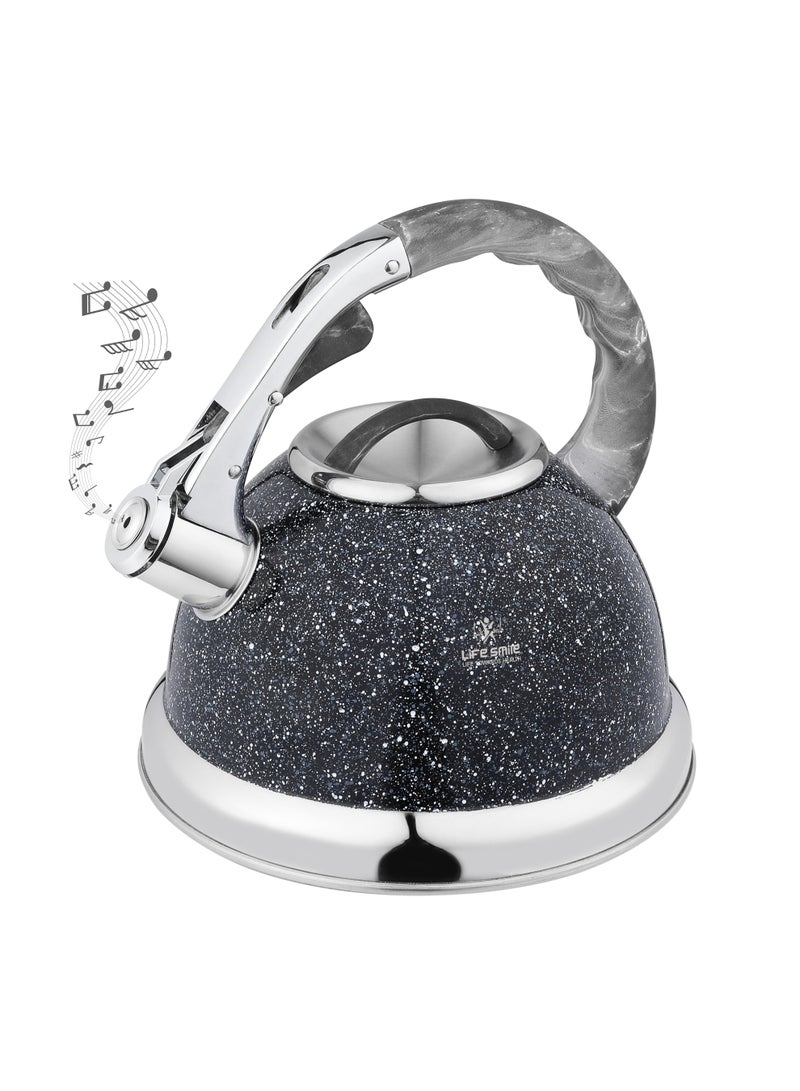 Life Smile 18/10 Stainless steel Kettle-3.0L Granite Finished Kettle with Whistle Spout And Heat Resistant Handle-Stable Base-12cups Capacity-For all Stovetops - Image 1