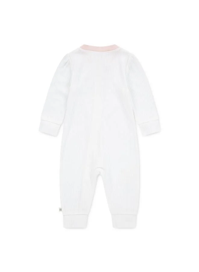 هجيز جوارب بدون قدم