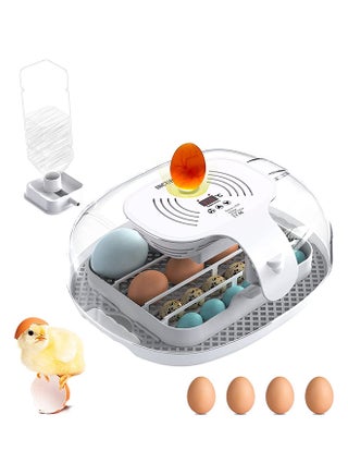 Egg Incubator 16 Eggs Incubators for Hatching Eggs with Automatic Egg Turning, Egg Candler and Automatic Water Adding for Hatching Chickens Ducks Geese Quails - pzsku/ZA67ACBF5D0DCF72EF767Z/45/_/1679652345/d9fd0a68-51fc-44a9-a6b6-c4a0d188f0ae