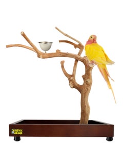 CHEWY BEAK Bird Stand Table Top Natural wooden Parrot Play Stand Indonesian Java wood Tree Perches with Stainless steel feeder small size  - Image 1