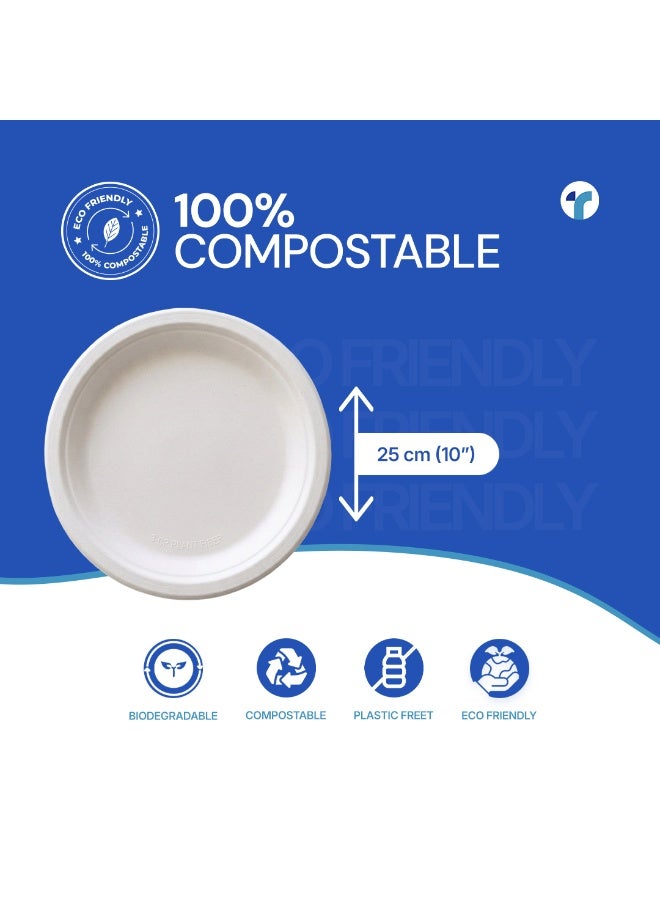 Tayvea 10" Bagasse Plates | 100% Compostable Sugarcane Plates | Microwaveable, Ovenable & Freezer Safe | Food-Grade Eco Disposable Plates | Pack of 25 - Image 3