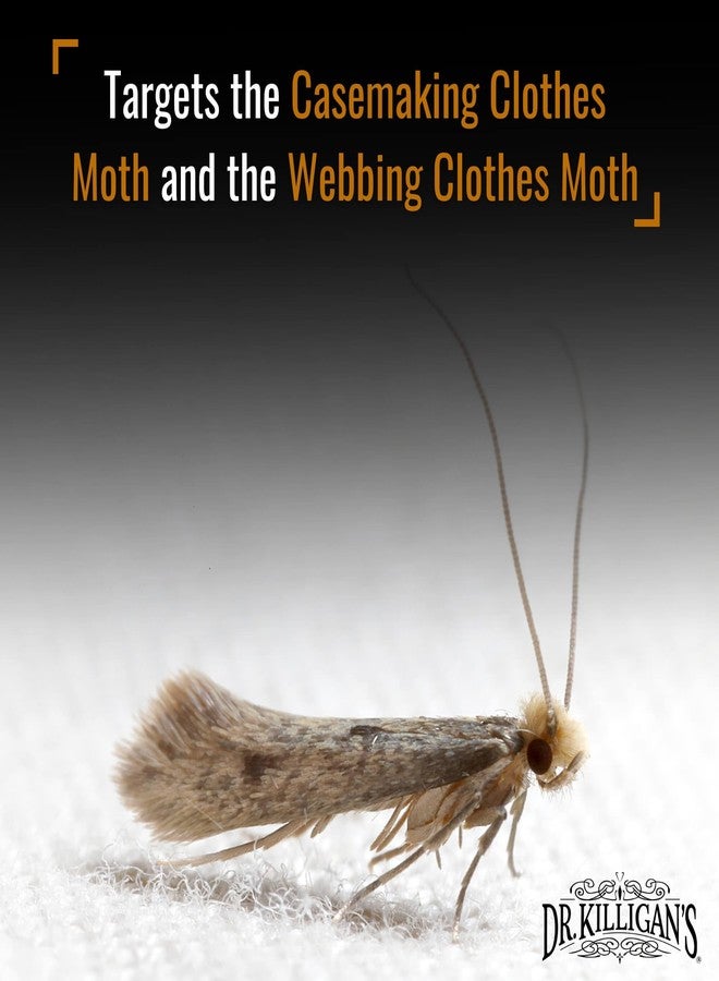 Dr. Killigan's Premium Double Potent Clothing Moth Traps with Pheromones Prime - Organic Trap with Lure for Clothes Closets & Carpet - Case Making & Web Spinning Moth Prevention (20 Pack, White) - Image 4