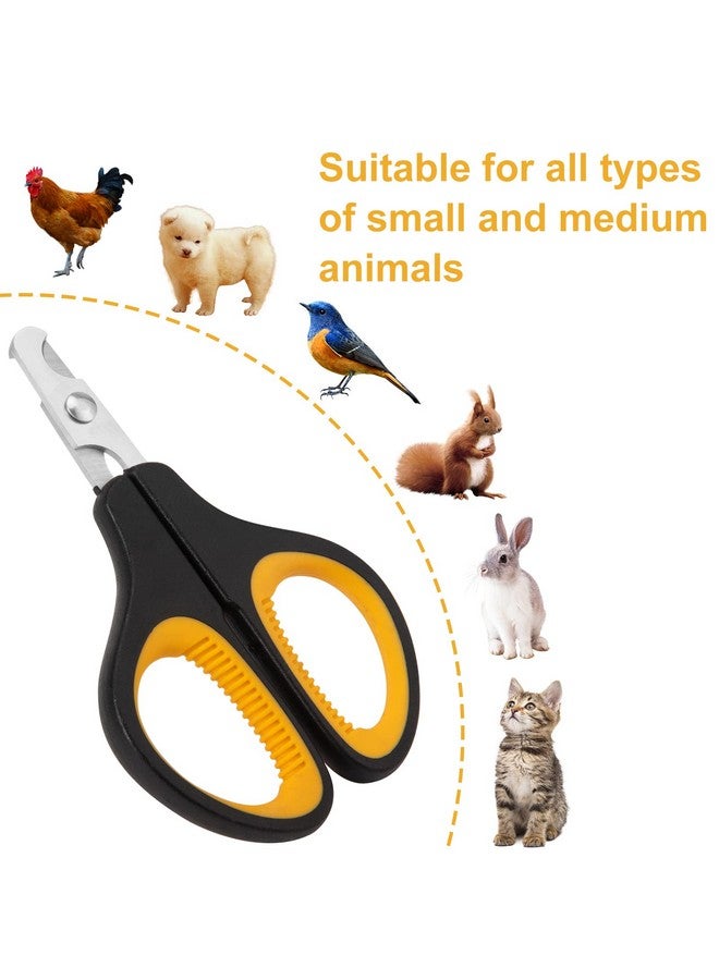 جكسكول مقص أظافر القطط، مقص أظافر الكلاب الفاخر، مقص أظافر الحيوانات الأليفة بمخالب القطط، أداة احترافية مريحة مضادة للانزلاق للعناية بالحيوانات الصغيرة للقطط الصغيرة والجراء والطيور والقنافذ والأرانب والهامستر - Image 2