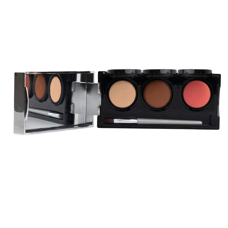 Dermaflage Tattoo Cover Up Makeup Bronze  Bruise Full Coverage Concealer  Full Coverage Waterproof Concealer for Bruise Scar  Acne  Smudge Proof Body Makeup Palette with 3 Pro SFX Shades Brush