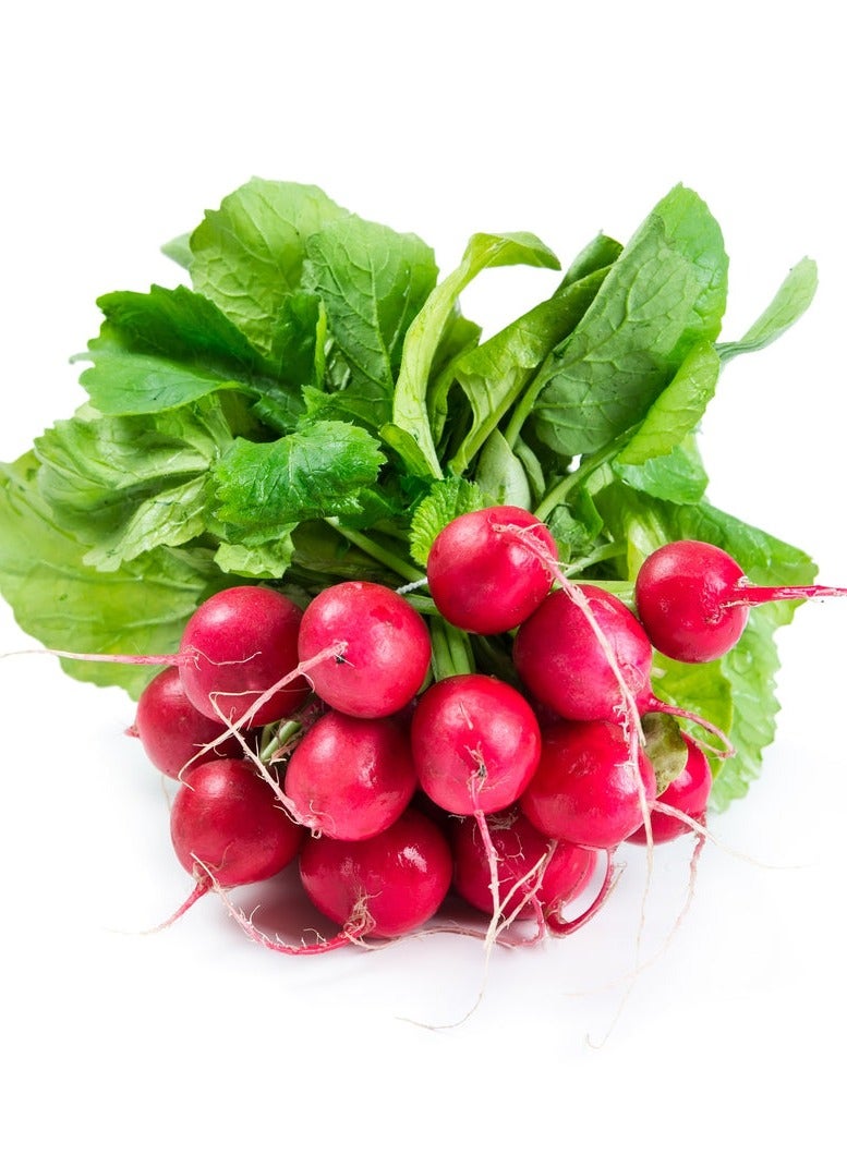 Agrimax Red Radish Premium Quality Seeds by Agrimaxgroup® - Image 3