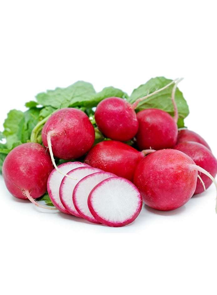 Agrimax Red Radish Premium Quality Seeds by Agrimaxgroup® - Image 4