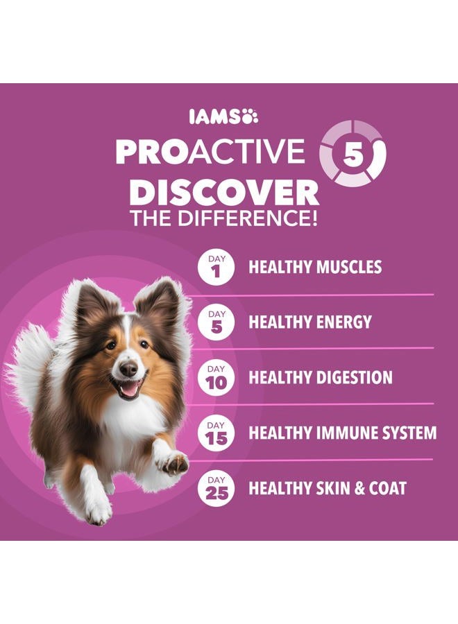 Iams Proactive Health Mature Adult Dry Dog Food 29.1 Pounds by Iams - Image 2