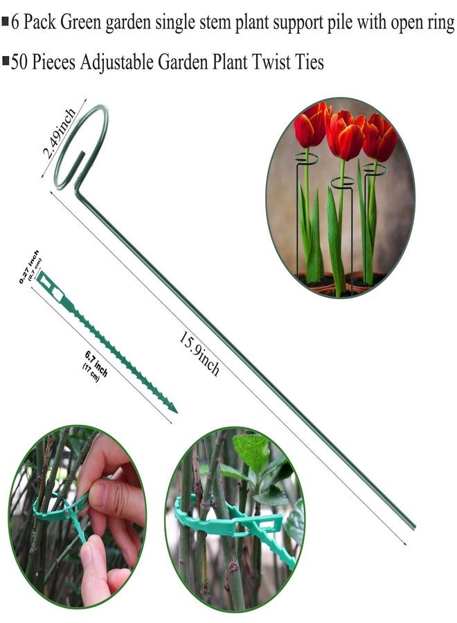 RAIKEDR Plant Stake Support - 6 Pack, Garden Single Stem Support Stake Plant Cage Support Rings, Single Stem Plant Support Stakes, Plant Twist Ties, for Flowers Amaryllis Tomatoes Peony Lily Rose (15.9 inch) - Image 2