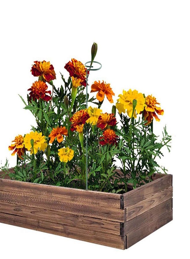 RAIKEDR Plant Stake Support - 6 Pack, Garden Single Stem Support Stake Plant Cage Support Rings, Single Stem Plant Support Stakes, Plant Twist Ties, for Flowers Amaryllis Tomatoes Peony Lily Rose (15.9 inch) - Image 4