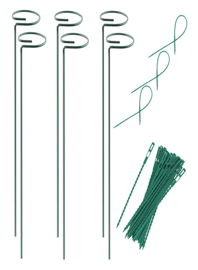 RAIKEDR Plant Stake Support - 6 Pack, Garden Single Stem Support Stake Plant Cage Support Rings, Single Stem Plant Support Stakes, Plant Twist Ties, for Flowers Amaryllis Tomatoes Peony Lily Rose (15.9 inch) - Image 1