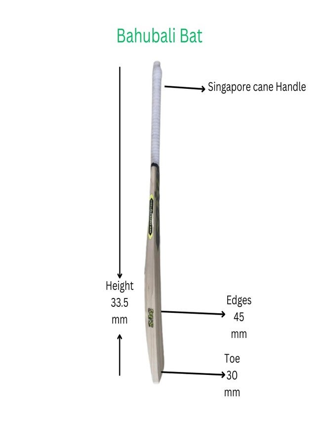 تبلد مضرب كريكيت من خشب الصفصاف الإنجليزي | مقاس 5 | حافة عريضة 40-42 مم | جاهز للعب | مناسب للعب بالكرة الجلدية | يتضمن غطاءً واقيًا من الخدوش، وواقيًا لطرف المضرب، وغطاءً للمضرب - Image 5