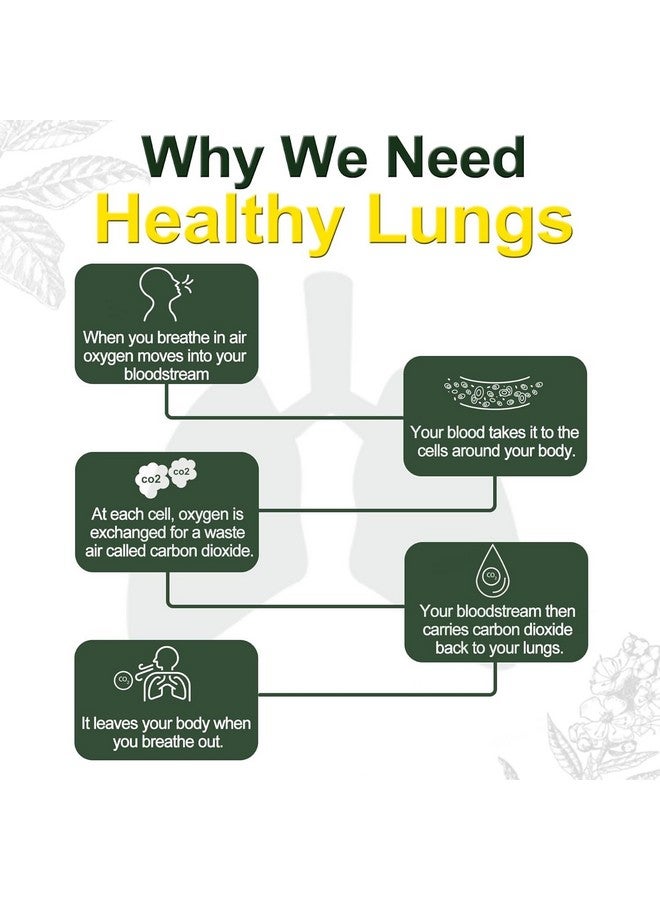 GRANDEUR Grandeur Lungs Detox For Smokers, Pollution & Mucus With Herbal Extracts Like Ginger, Licorice, Peppermint, Clove & Fenugreek Seed | Lungs Cleaner | Smokers Health | Immunity | 60 GUMMIES  - Image 3